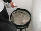 Still wetting down the bedding (87kb)